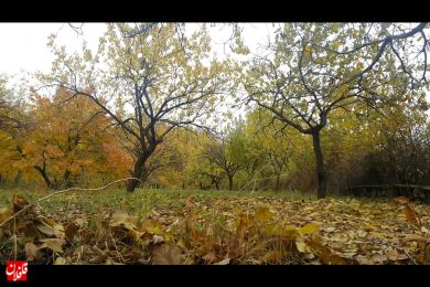 طبیعت زیبا و حال و هوای پائیزی روستای کسلان