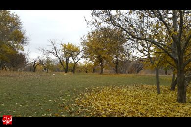 طبیعت زیبا و حال و هوای پائیزی روستای کسلان