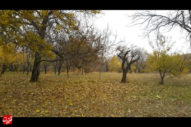 طبیعت زیبا و حال و هوای پائیزی روستای کسلان