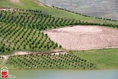 تصاویری از طبیعت شهرستان میانه (سری سوم)