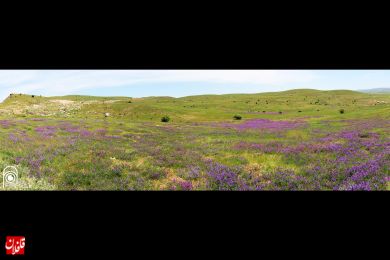 تصاویری از طبیعت شهرستان میانه (سری سوم)