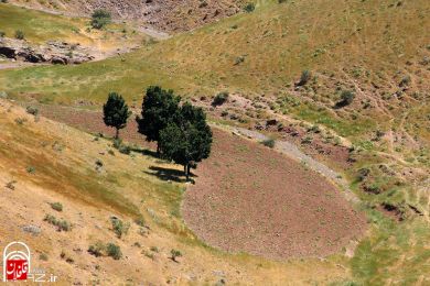 تصاویری از طبیعت شهرستان میانه (سری سوم)