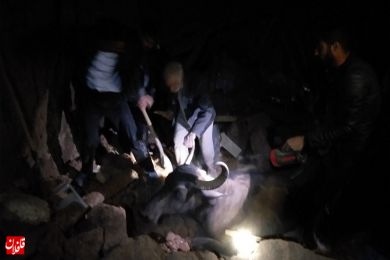 گزارش تصویری از خسارات زمین لرزه در ورنکش