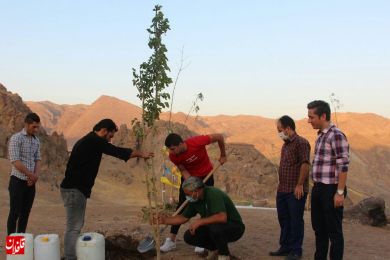 گزارش تصویری از کاشت نهالِ 