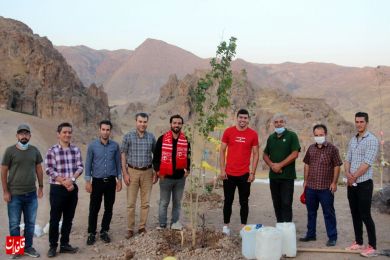 گزارش تصویری از کاشت نهالِ 