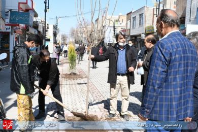 درختکاری پیاده راه خیابان امام خمینی ره در هفته منابع طبیعی