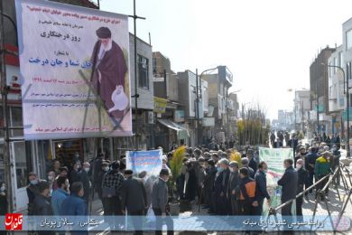 درختکاری پیاده راه خیابان امام خمینی ره در هفته منابع طبیعی