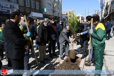 درختکاری پیاده راه خیابان امام خمینی ره در هفته منابع طبیعی