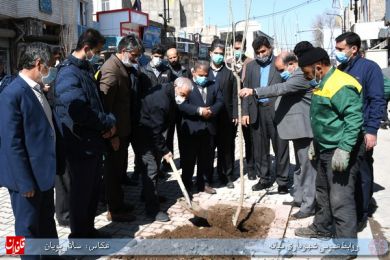 درختکاری پیاده راه خیابان امام خمینی ره در هفته منابع طبیعی