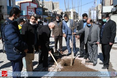 درختکاری پیاده راه خیابان امام خمینی ره در هفته منابع طبیعی