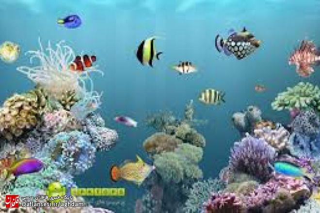 حکایت ماهی گوشتخوار و گیاه خوار