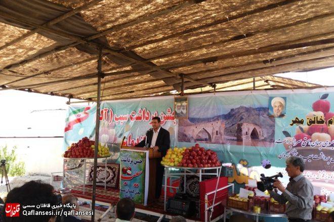 جشن برداشت سیب در روستای طرناب / تصاویر