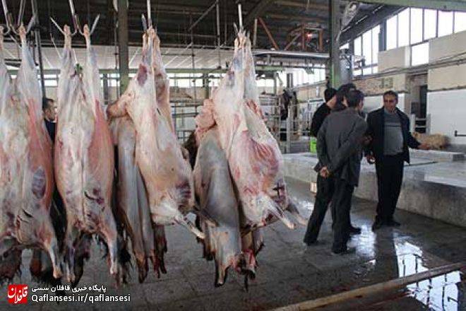 بازدید معاون عمرانی فرماندار میانه از وضعیت کشتارگاههای دام شهرستان