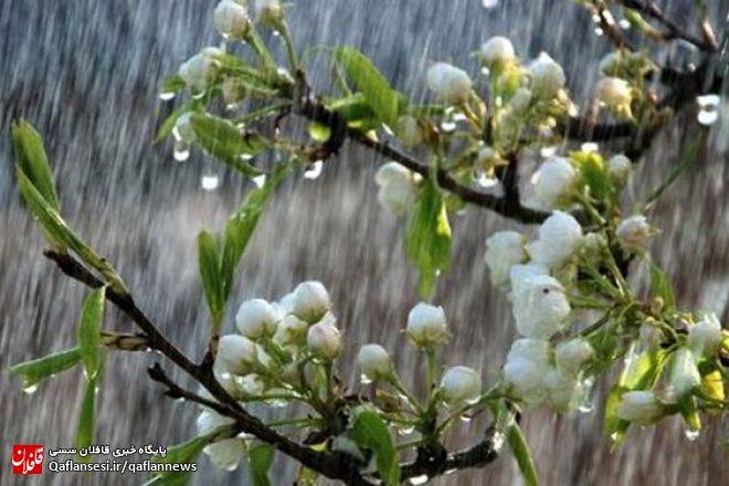 موج دوم سامانه بارشی فعال از بعد ظهر روز جمعه