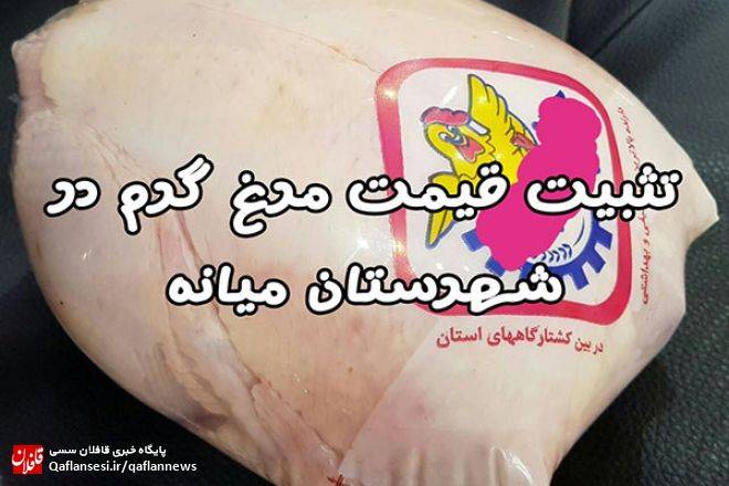 تثبیت قیمت مرغ 11 هزار و 500 تومانی در میانه
