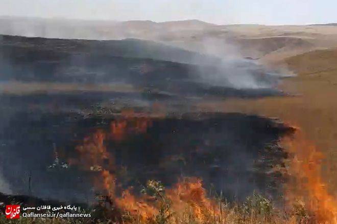 آتش بر جان مراتع شهرستان میانه + فیلم