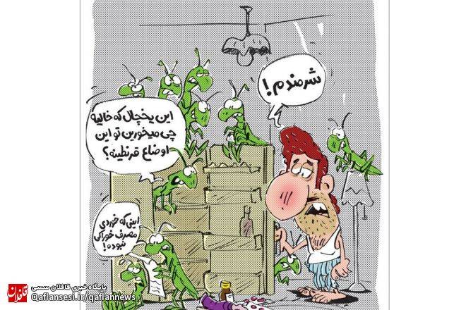 ببینید ملخ‌ها هم از یخچال ما تعجب کردند!