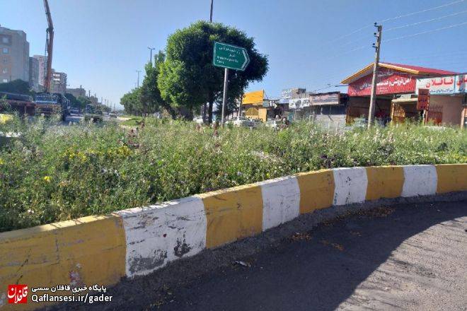 فضای سبز میانه متولی ندارد