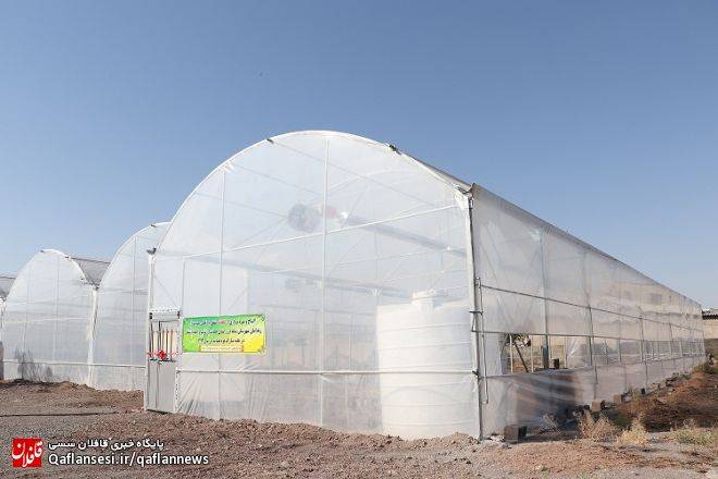 بهره برداری از گلخانه انجمن حمایت از زندانیان میانه با اعتبار 3 میلیارد و 500 میلیون ریال