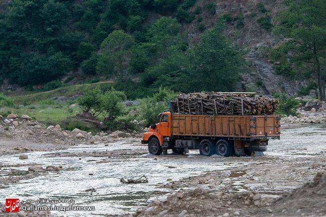 دستور دادستان شهرستان میانه مبنی بر پیشگیری از قاچاق چوب