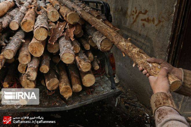 قاچاقچیان چوب جنگلی از میانه در دام پلیس زنجان افتادند