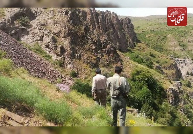 دستگیری شکارچیان آهوان در میانه