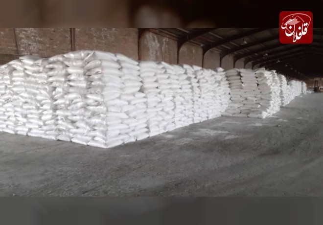 توزیع 793 تن کود شیمیایی اوره در شهرستان میانه