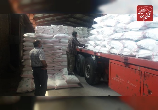 توزیع 173 تن کود شیمیایی اوره در شهرستان میانه