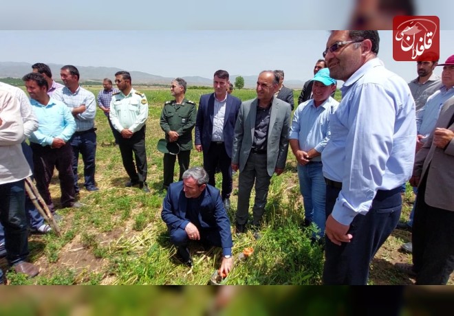 افتتاح آبیاری تحت فشار در ۶/۵ هکتار از مزارع شهرستان میانه