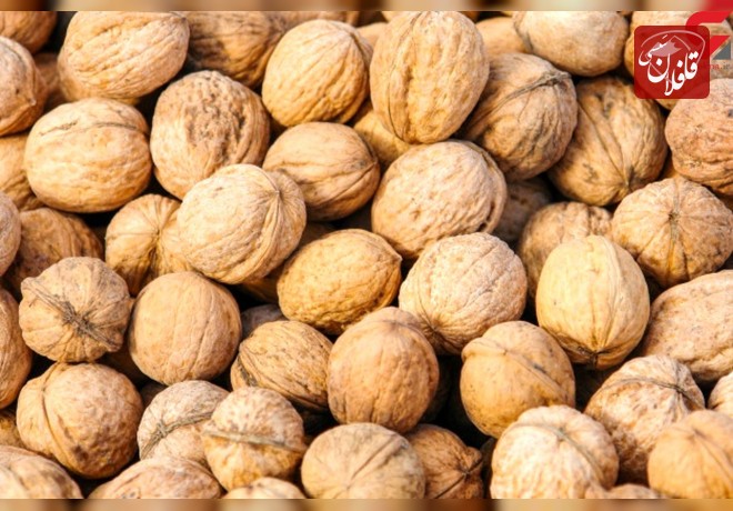 توقیف گردو خارجی قاچاق در میانه