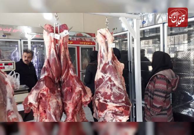 ۱۵ هزار لیتر آب برای تولید یک کیلو گوشت گوساله مصرف می‌شود