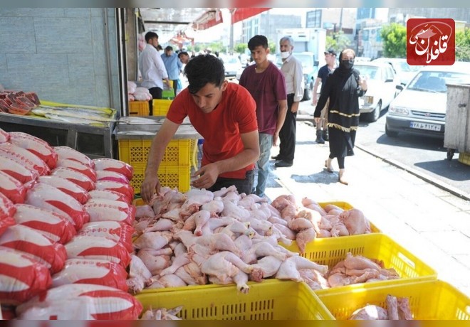 مرغ در بازار و میادین کیلویی چند عرضه می شود؟