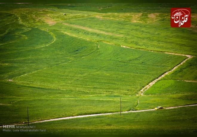 طبیعت زیبای صخره‌های دلمه هشترود