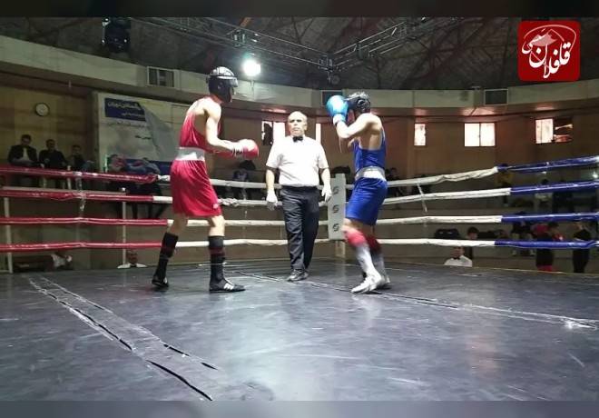 حضور بوکسور میانه ای در مسابقات انتخابی تیم ملی