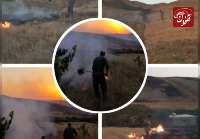 آتش‌سوزی در منطقه شکار ممنوع کاغذکنان با تلاش محیط بانان مهار شد