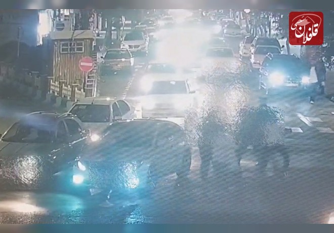 شناسایی عاملان نزاع در میدان معلم میانه