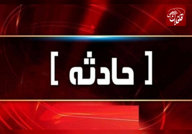 عملیات پنج ساعته برای نجات مصدوم حمله خرس در میانه
