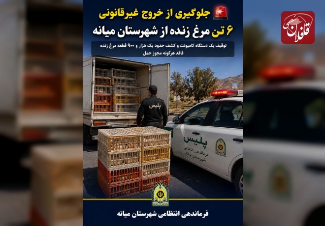جلوگیری از خروج غیرقانونی ۶ تن مرغ زنده از شهرستان میانه