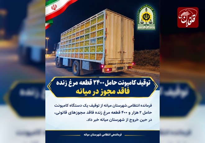  توقیف کامیونت حامل ۲۴۰۰ قطعه مرغ زنده فاقد مجوز در میانه
