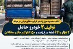 توقیف ۲ خودرو حامل مرغ زنده و فرآورده‌های مرغی در میانه